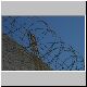 Razor Wire